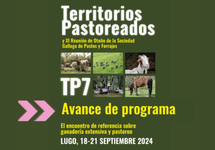 Avance del programa de Territorios Pastoreados 7 en el que la ganadería extensiva y el pastoreo son protagonistas: ¡inscripción abierta!