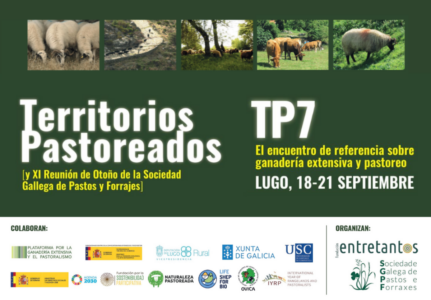 Territorios Pastoreados 7 reúne en Lugo a la ganadería extensiva y al pastoreo: conoce el programa completo y participa